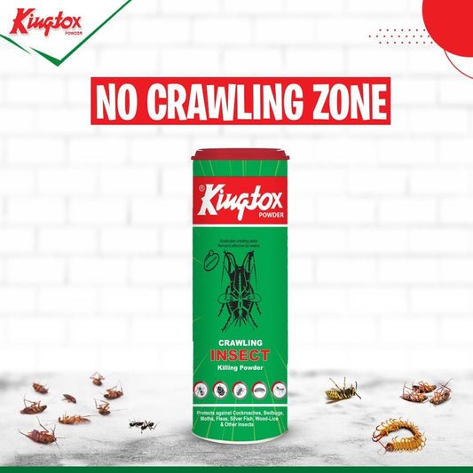 Kingtox Crawling Insect Killing powder 125 gm